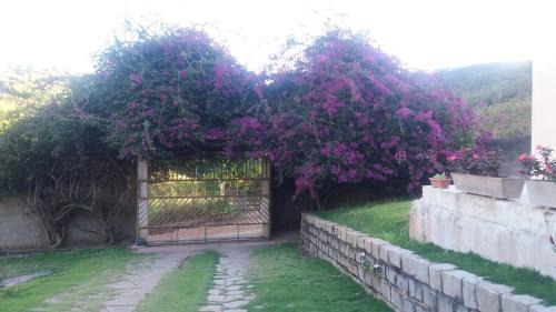 Bananeiras House | Serene Refúgio na Serra - 4-Star Stay with Pool & Pets Welcome