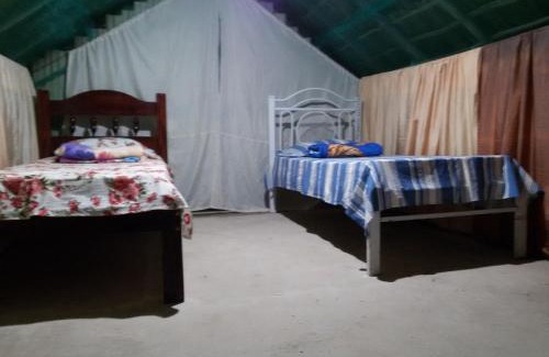 Carolina Other | Discover Refúgio Raiz Camping: Pet Friendly with Ocean Views