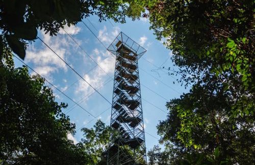 Tambopata Cabin | Explore Refugio Amazonas Lodge: Spa & Family-Friendly Retreat