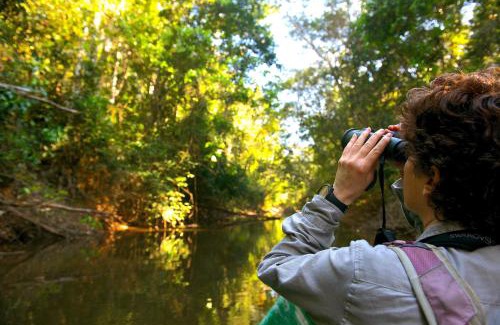 Tambopata Cabin | Explore Refugio Amazonas Lodge: Spa & Family-Friendly Retreat