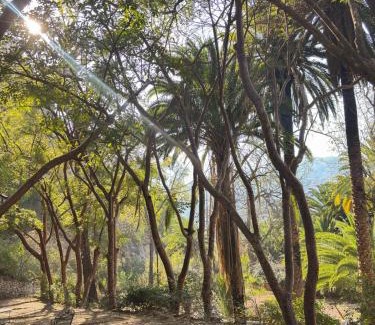 Metztitlan Other | Refugio de Montaña en Hidalgo Tropical desde 1869