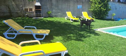 Bico House | Unforgettable Stay at Refugio dos Cartolas, 4-Star Rated
