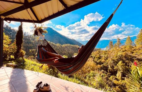 Barbosa Apartment | Cozy Forest Retreat with Pet-Friendly Amenities Await