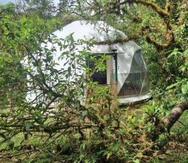 Piedades Norte Hotel | Eco-Friendly Retreat at Refugio La Paz EcoGlamping