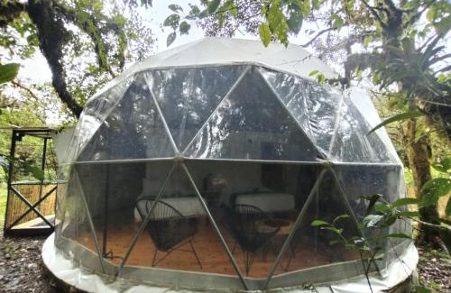 Piedades Norte Hotel | Eco-Friendly Retreat at Refugio La Paz EcoGlamping
