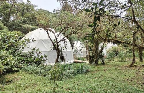 Piedades Norte Hotel | Eco-Friendly Retreat at Refugio La Paz EcoGlamping