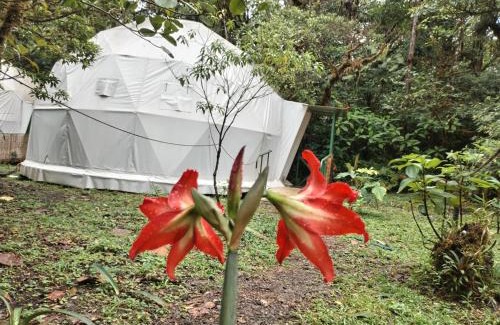 Piedades Norte Hotel | Eco-Friendly Retreat at Refugio La Paz EcoGlamping
