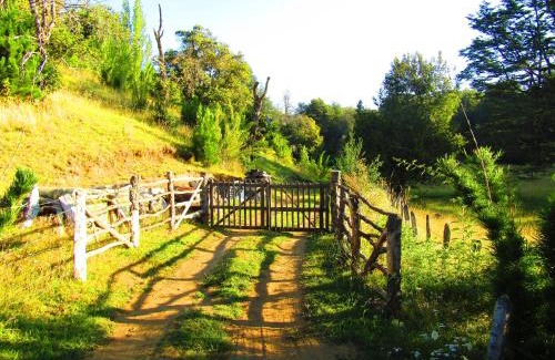 Curacautin House | Cozy Refugio Montaña Kultrun Mawida with Private Amenities