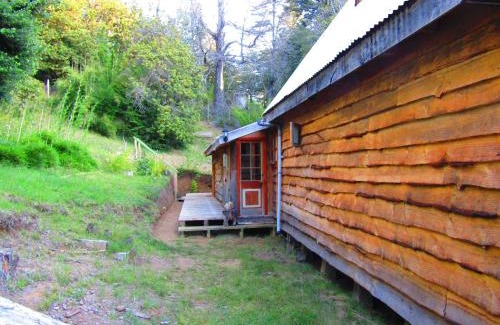 Curacautin House | Cozy Refugio Montaña Kultrun Mawida with Private Amenities