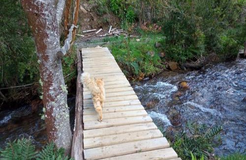 Valdivia Other | Cozy Retreat at Refugio y Tinaja Curiñanco with Hot Tub