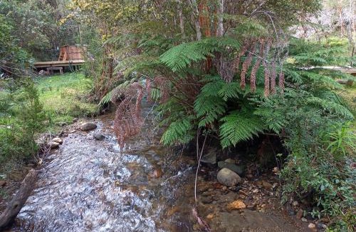 Valdivia Other | Cozy Retreat at Refugio y Tinaja Curiñanco with Hot Tub