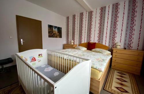 Zella-Mehlis Apartment | Regenbergblick: Child-Friendly Retreat with 9.5/10 Rating