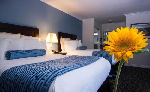 Eagle Rock Hotel | Family-Friendly Regency Inn in Los Angeles - 8.5/10 Rating