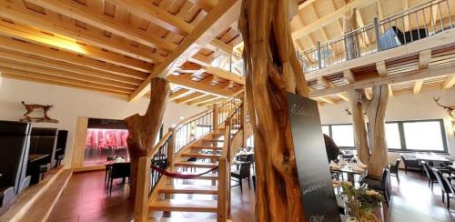 Stangerode Hotel | Guest Rated 9/10: Reit-und Sporthotel Nordmann Awaits