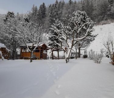 Dedinky House | Cozy Judka Cottage with Oceanfront Views and Pet-Friendly Perks