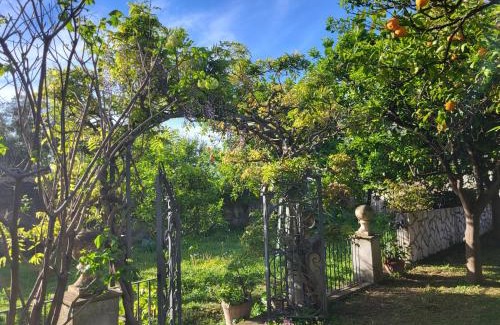 Meta House | Relais Palazzo Cacace