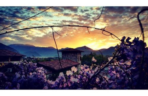 Colombaro Hotel | Pet-Friendly Retreat at Relaisfranciacorta - 4-Star Comfort
