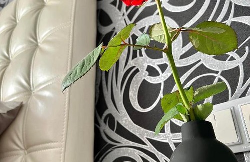 Ternopil Apartment | Relax in Cozy Apartments with Exceptional Guest Rating 9.5