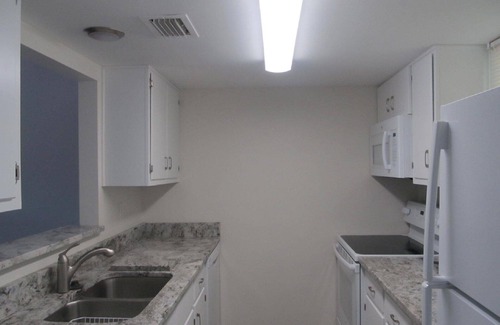 Dunedin Condo | Experience Comfort at Dolphin Point Condo in Dunedin