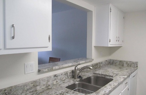 Dunedin Condo | Experience Comfort at Dolphin Point Condo in Dunedin