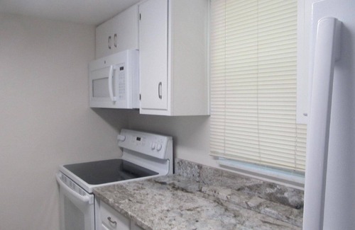 Dunedin Condo | Experience Comfort at Dolphin Point Condo in Dunedin