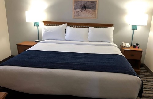 Window Rock Hotel | Recharge at Our Hotel: Free Breakfast & Pet-Friendly Stay!