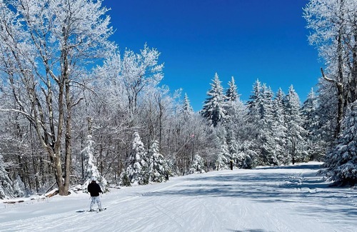 Davis Cabin | Relax and Unwind at Bear Stroll Bungalow - Rated 9/10!