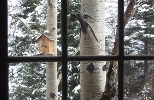 Divide Cottage | Relax and Unwind in Colorado: Guest Rated 9.8 with Spa & More