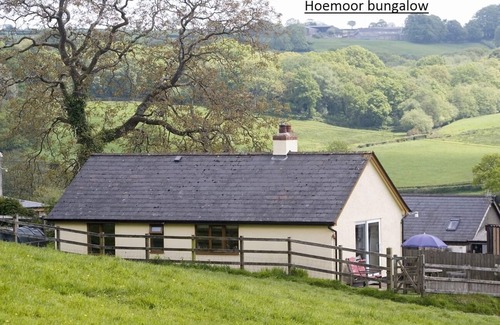 Honiton House | Escape to the Scenic Blackdown Hills - Guest Rated 9.8!