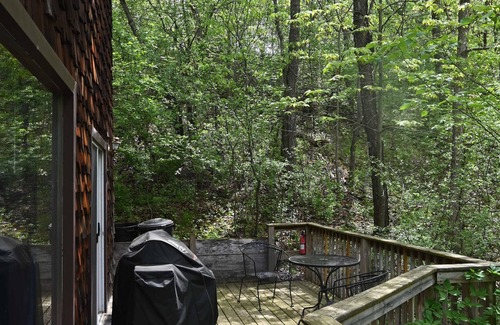 Norwalk Cabin | Inviting Retreat Amidst Wisconsin's Scenic Forests & Valleys