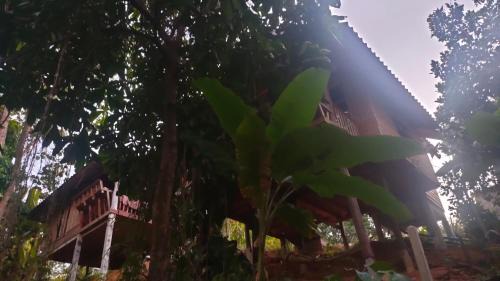 Ranong Resort | Relax House: Scenic Sunset Views & Family-Friendly Amenities