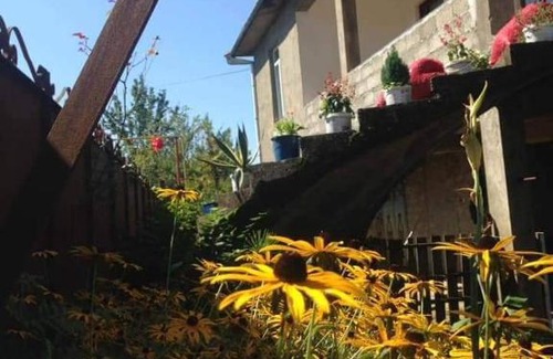 Tsikhisdziri House | Enjoy Family-Friendly Stays at Tsikhisdziri