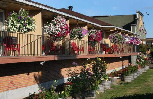 Chehalis Hotel | Inviting Relax Inn Chehalis: Pet & Child Friendly Stay