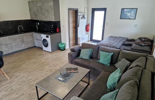 Cerna V Posumavi Apartment | Relax Vila Lipno- Studio u pláže Windy Point