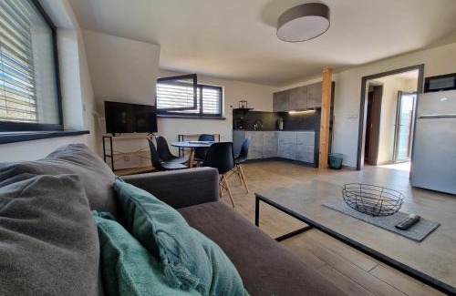 Cerna V Posumavi Apartment | Relax Vila Lipno: Lakefront Retreat Near Windy Point