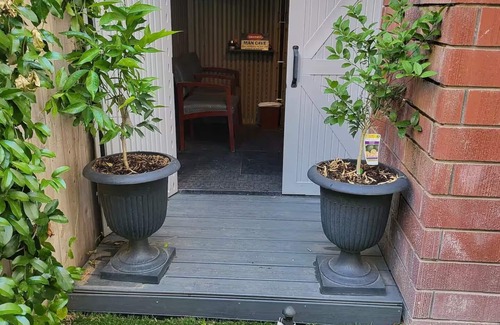 Porterville House | Relaxation meets comfort HERE at Redwood Inn