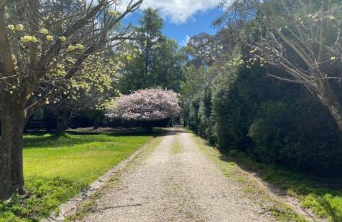 Burrawang House | Tranquil Farmhouse Retreat: Pet & Child Friendly Stay