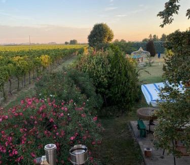 Solarolo Villa | Tranquil Retreat with Pool Near Imola and Faenza