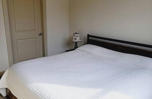 Astrodome Apartment | Inviting Pool View Apartment Near Reliant Stadium & Medical Center
