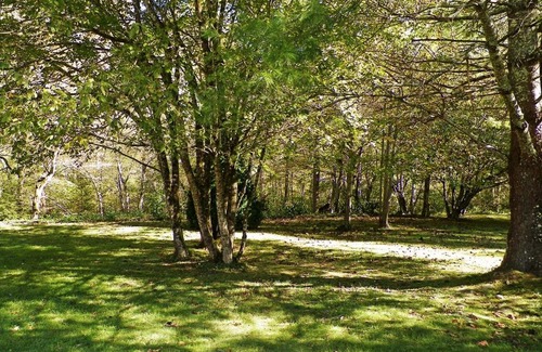 Cosby Apartment | Inviting Resort Condos at the Smoky Mountains' Foothills