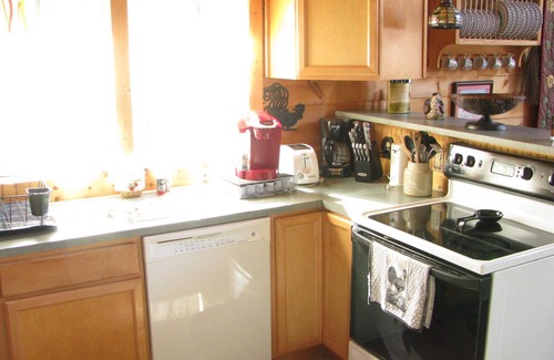 Rutherfordton Cabin | Pet-Friendly 'Riverdance' Log Cabin Near Tryon Equestrian Resort