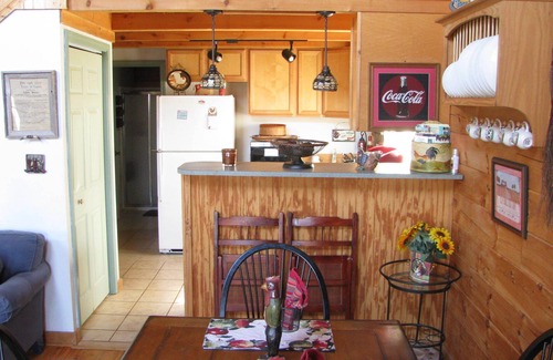 Rutherfordton Cabin | Pet-Friendly 'Riverdance' Log Cabin Near Tryon Equestrian Resort