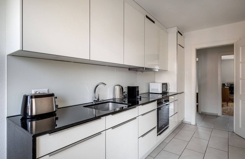 Sihlfeld Apartment | Inviting Wiedikon 2BR with Private W/D, Near Market