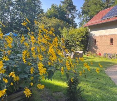 Dahlwitz House | Pet-Friendly Stay at Remise an der Rennbahn - Rated 9.7/10