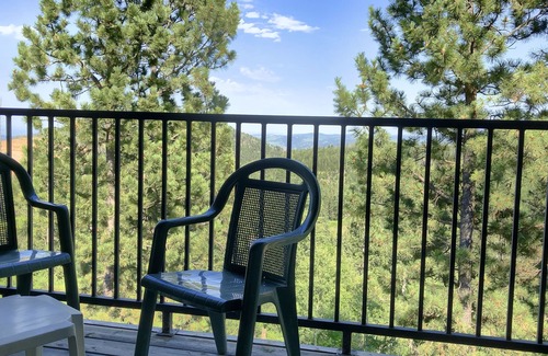 Lead Condo | Chic Fully Furnished Barefoot Resort Condo at Terry Peak