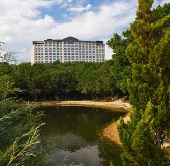 Arboretum Hotel | Relax at Renaissance Austin Hotel with Ocean View & Spa