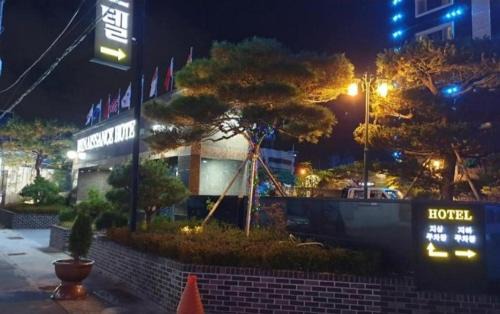 Pohang Hotel | Pet-Friendly Renaissance Hotel Pohang with Family Amenities