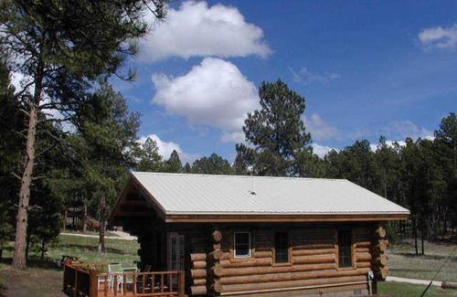 Custer House | Cozy Renegade Log Cabin - Family-Friendly Retreat