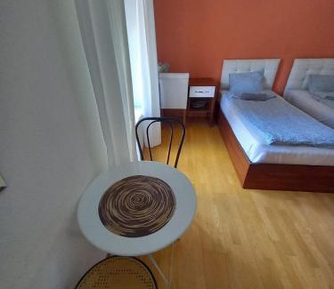 Enge Apartment | Renovated Apartment Near Zurich Lake Sees Self Checkin