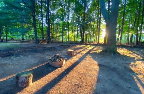South Haven Cabin | Renovated Cabin with Beach Access and Scenic Woods